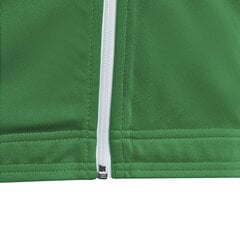 Детский свитер Adidas Entrada 22 HI2138, зеленый цена и информация | Свитеры, жилетки, пиджаки для мальчиков | pigu.lt