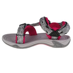 Basutės vaikams CMP Hamal Hiking Sandal Jr 38Q995451UL, pilkos цена и информация | Сандали NATIVE Charley Block Child 233954 | pigu.lt