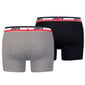 Trumpikės vyrams Levi's Boxer 2 Pairs Briefs M 371490202, 2 vnt. цена и информация | Trumpikės | pigu.lt