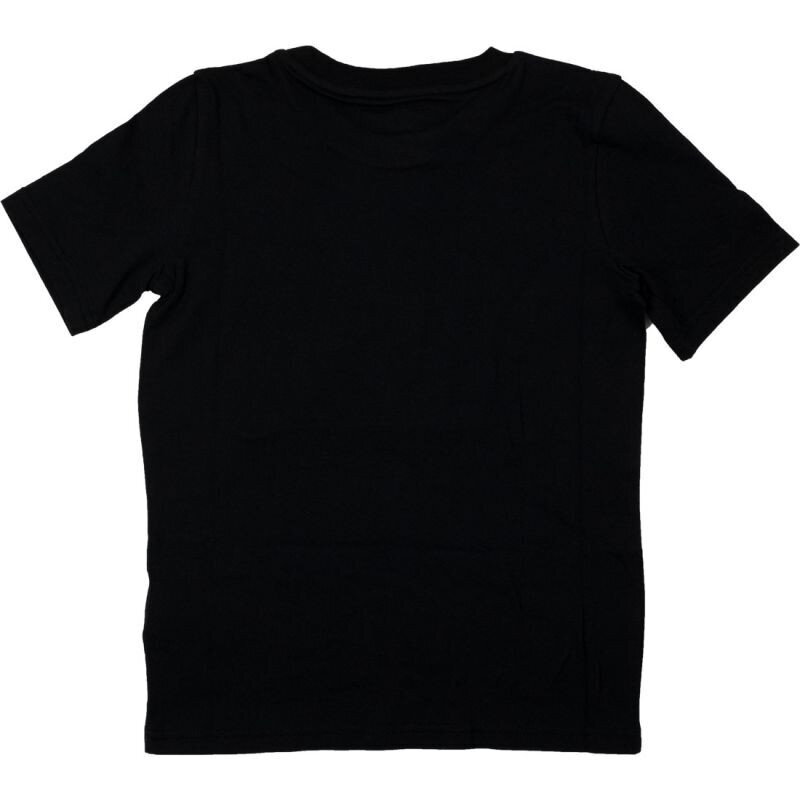 Marškinėliai vyrams Nike, juodi kaina ir informacija | Vyriški marškinėliai | pigu.lt