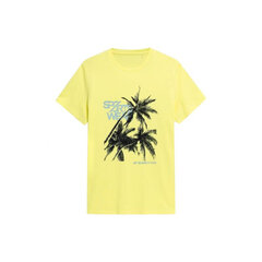 Marškinėliai vyrams 4F M H4L22-TSM039, geltoni kaina ir informacija | Vyriški marškinėliai | pigu.lt