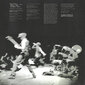 Vinilinė plokštelė Rage Against The Machine - Rage Against The Machine, Remastered, LP, 12" kaina ir informacija | Vinilinės plokštelės, CD, DVD | pigu.lt