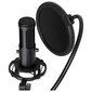 Mikrofonas Lorgar Voicer 721 kaina ir informacija | Mikrofonai | pigu.lt