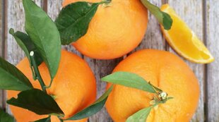 Apelsinas sultims ~170g kaina ir informacija | Augalinės kilmės produktai | pigu.lt