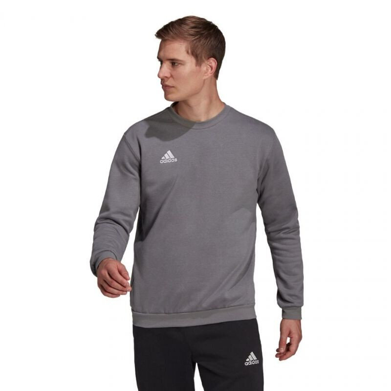 Džemperis vyrams Adidas Entrada 22 Sweat Top M H57479, pilkas цена и информация | Sportinė apranga vyrams | pigu.lt