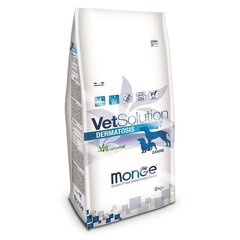 Monge Vet Solution Dog Dermatosis su lašiša, 12 kg kaina ir informacija | Sausas maistas šunims | pigu.lt