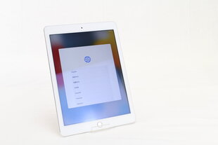 iPad Air 2 9.7", 16GB, WiFi, серебристый (подержанный, состояние A) цена и информация | Планшеты | pigu.lt