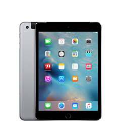 iPad mini 4 7.9" 32GB WiFi + Cellular, pilkas (atnaujintas, būklė A) kaina ir informacija | Planšetiniai kompiuteriai | pigu.lt