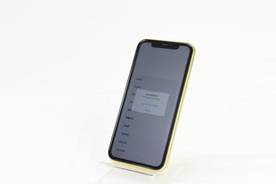 iPhone 11, 64GB Yellow (atnaujintas, būklė A) kaina ir informacija | Mobilieji telefonai | pigu.lt