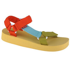 Basutės moterims Levi's Cadys Low Sandal W 23302910970, geltonos kaina ir informacija | Basutės moterims | pigu.lt