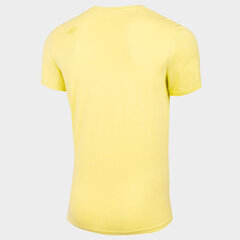 Marškinėliai vyrams 4F, geltoni kaina ir informacija | Vyriški marškinėliai | pigu.lt