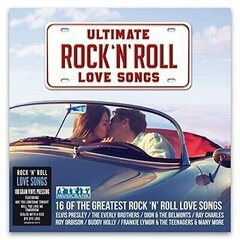 Виниловая пластинка Rock N Roll, Love Song цена и информация | Виниловые пластинки, CD, DVD | pigu.lt