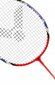 Badmintono rinkinys, VICTOR kaina ir informacija | Badmintonas | pigu.lt