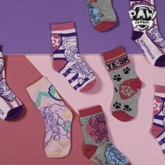 Носки The Paw Patrol (5 пар) Разноцветный цена и информация | Носки, колготки для девочек | pigu.lt