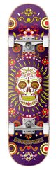 Гидропонный мексиканский полный скейтборд 8,125 ", с фиолетовым черепом цена и информация | Скейтборды | pigu.lt