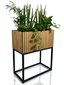 Vazonas augalams - Loft Fiorino ąžuolinis 42x22x50cm цена и информация | Gėlių stovai, vazonų laikikliai | pigu.lt
