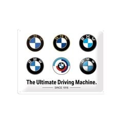 Металлическая пластина 30x40 см / BMW - логотип Evolution цена и информация | Детали интерьера | pigu.lt