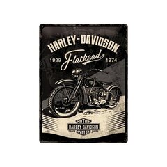 Металлическая пластина 30x40 см / Harley-Davidson - Flathead цена и информация | Детали интерьера | pigu.lt