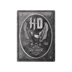 30x40 cm metalinė plokštė/Harley-Davidson - Metal Eagle kaina ir informacija | Interjero detalės | pigu.lt
