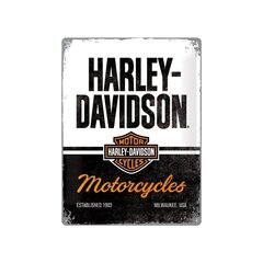 Металлическая пластина 30x40 см / Harley-Davidson - Motorcycles цена и информация | Детали интерьера | pigu.lt