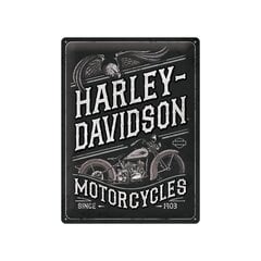 30x40 cm metalinė plokštė/Harley-Davidson - Motorcycles Eagle kaina ir informacija | Interjero detalės | pigu.lt