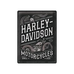 Металлическая пластина 30x40 см / Harley-Davidson - Motorcycles Eagle цена и информация | Детали интерьера | pigu.lt