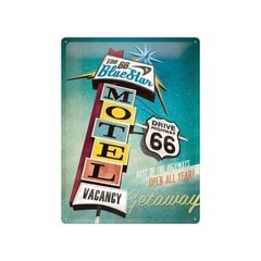 Metalinė plokštė 30x40 cm / The 66 Blue Star Motel kaina ir informacija | Sodo dekoracijos | pigu.lt