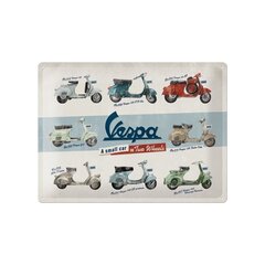 Metalinė plokštė 30x40 cm / Vespa mallit kaina ir informacija | Sodo dekoracijos | pigu.lt