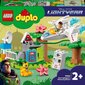 10962 LEGO® DUPLO | Disney Bazo Šviesmečio planetų misija цена и информация | Konstruktoriai ir kaladėlės | pigu.lt