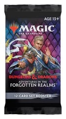 Карточная игра Magic The Gathering: Adventures in the Forgotten Realms Set Booster цена и информация | Настольные игры, головоломки | pigu.lt
