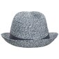 Kepurė vyrams Trespass UAHSHATR0011 - Evanesce - Unisex Adult Trilby Hat цена и информация | Vyriški šalikai, kepurės, pirštinės | pigu.lt