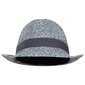 Kepurė vyrams Trespass UAHSHATR0011 - Evanesce - Unisex Adult Trilby Hat цена и информация | Vyriški šalikai, kepurės, pirštinės | pigu.lt