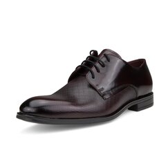 Классические мужские туфли Nicolo Ferretti 52021005222, коричневые цена и информация | Мужские ботинки | pigu.lt