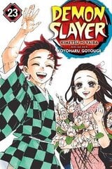 Demon Slayer: Kimetsu no Yaiba, Vol. 23 цена и информация | Пособия по изучению иностранных языков | pigu.lt