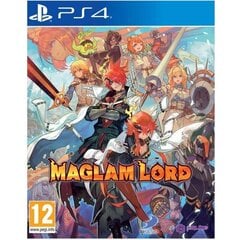 PS4 Maglam Lord цена и информация | Компьютерные игры | pigu.lt
