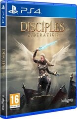 Disciples: Liberation - Deluxe Edition kaina ir informacija | Kompiuteriniai žaidimai | pigu.lt