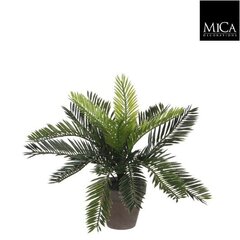 Декоративное растение Mica Decorations, 11.5 x 33 см цена и информация | Искусственные цветы | pigu.lt