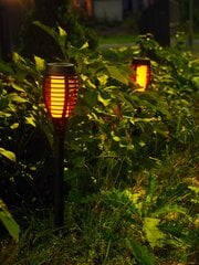Lauko šviestuvas, 50 cm цена и информация | Уличные светильники | pigu.lt
