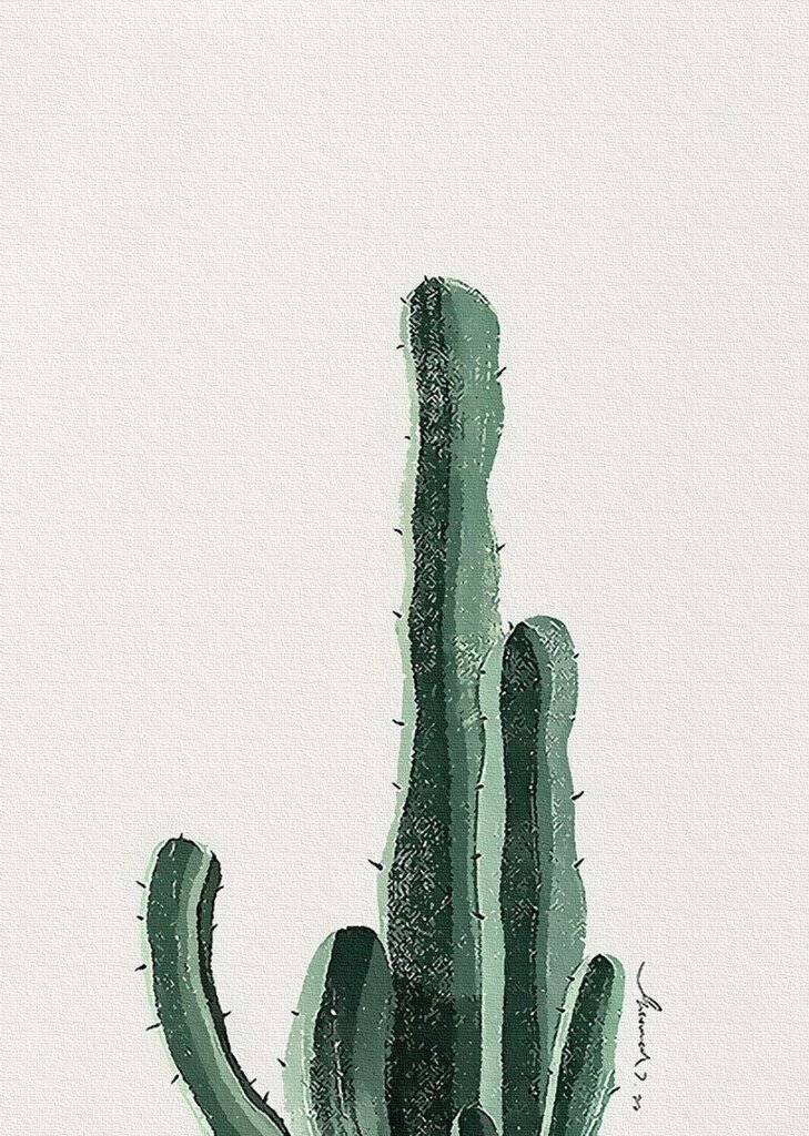Tapybos pagal skaičius rinkinys Kaktusas Arizona цена и информация | Piešimo, tapybos, lipdymo reikmenys | pigu.lt