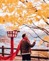Tapybos pagal skaičius rinkinys Raudonas šalikas rudenį Japonijoje kaina ir informacija | Piešimo, tapybos, lipdymo reikmenys | pigu.lt