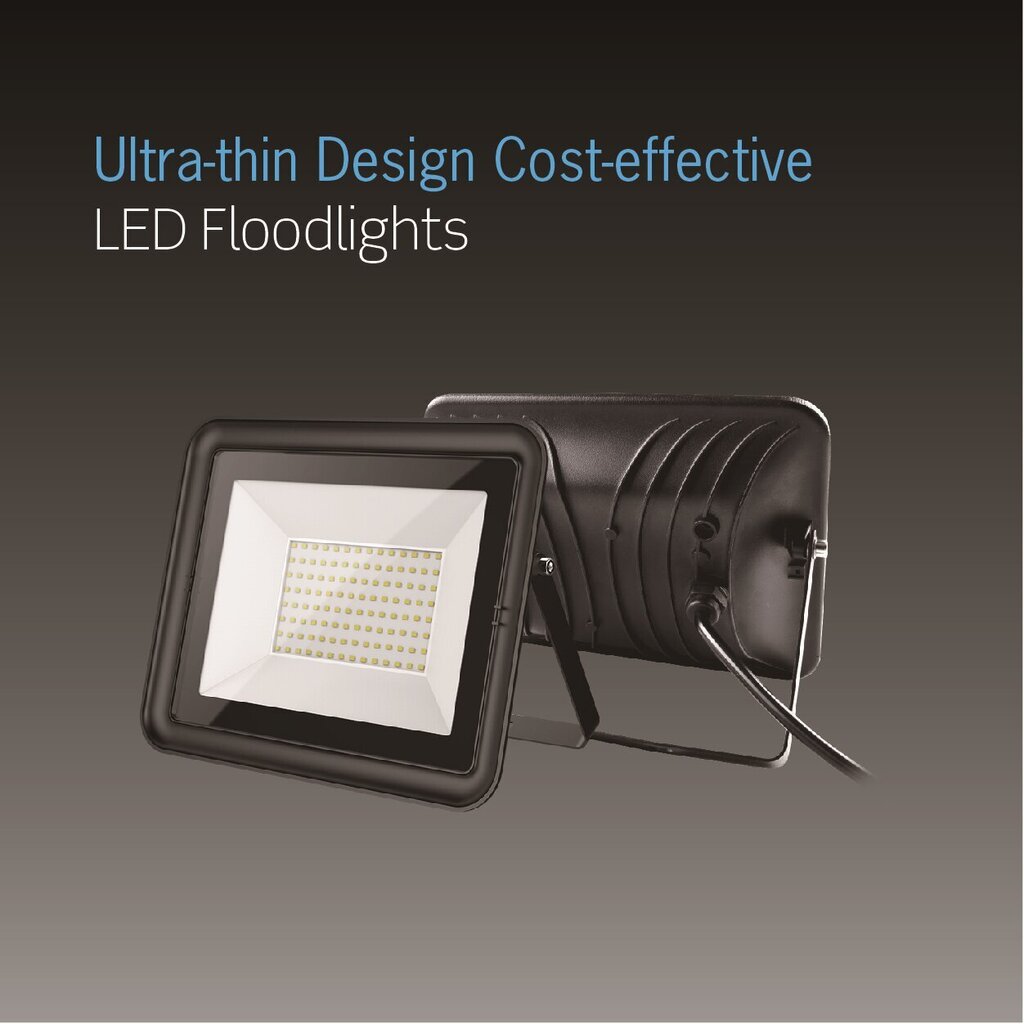 LED projektorius 20W цена и информация | Žibintai ir prožektoriai | pigu.lt