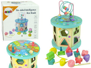 Medinis kubas vaikams Lean Toys Lombos labirinto karoliukai kaina ir informacija | Lavinamieji žaislai | pigu.lt