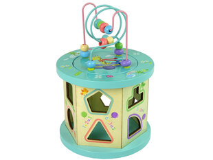 Medinis kubas vaikams Lean Toys Lombos labirinto karoliukai kaina ir informacija | Lavinamieji žaislai | pigu.lt