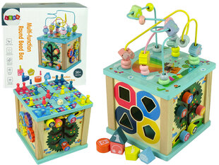 Edukacinis žaidimas Lean Toys Kubo rūšiavimo labirintas kaina ir informacija | Lavinamieji žaislai | pigu.lt