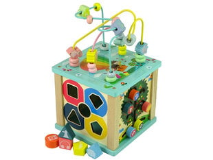 Edukacinis žaidimas Lean Toys Kubo rūšiavimo labirintas kaina ir informacija | Lavinamieji žaislai | pigu.lt
