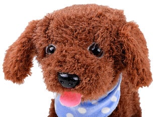 Interaktyvus mielas šuo Lean toys, rudas kaina ir informacija | Žaislai mergaitėms | pigu.lt
