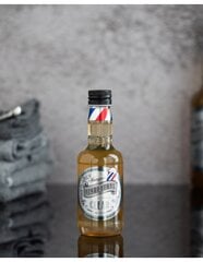 Giliai valantis plaukų šampūnas Beardburys Clear, 100ml цена и информация | Шампуни | pigu.lt