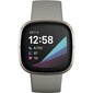 Fitbit Sense Sage Grey/Silver цена и информация | Išmanieji laikrodžiai (smartwatch) | pigu.lt