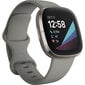 Fitbit Sense Sage Grey/Silver цена и информация | Išmanieji laikrodžiai (smartwatch) | pigu.lt