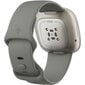 Fitbit Sense Sage Grey/Silver kaina ir informacija | Išmanieji laikrodžiai (smartwatch) | pigu.lt